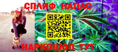 стаф Краснодар