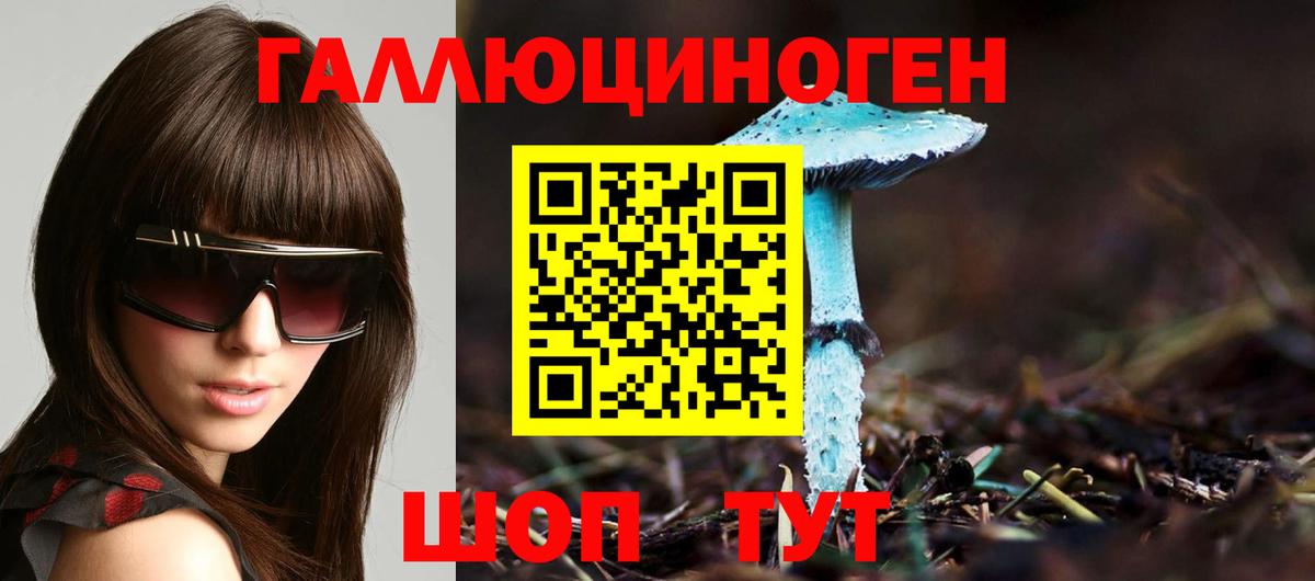 Псилоцибиновые грибы Psilocybine cubensis Арзамас